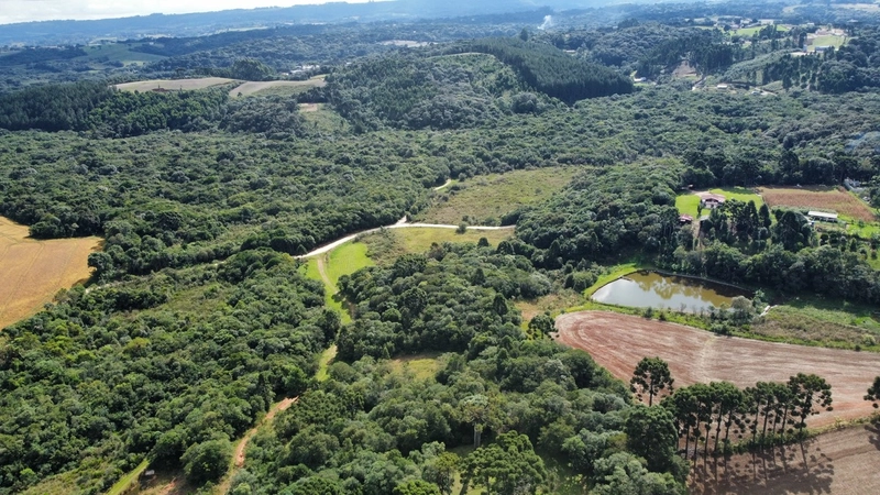 Sua Oportunidade na PR-510: Terreno Rural Estratégico em Balsa Nova!: 13ª foto da galeria de imagens do imóvel