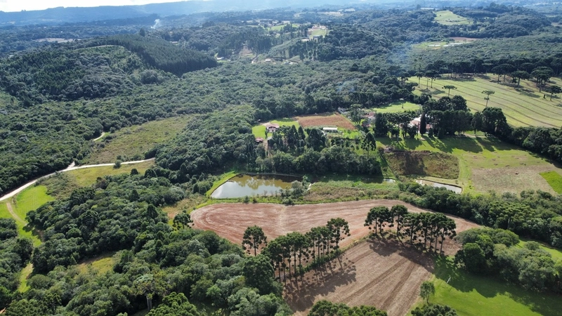 Sua Oportunidade na PR-510: Terreno Rural Estratégico em Balsa Nova!: 11ª foto da galeria de imagens do imóvel