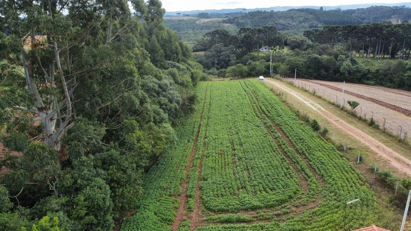 Sua Oportunidade na PR-510: Terreno Rural Estratégico em Balsa Nova!: 10ª foto da galeria de imagens do imóvel