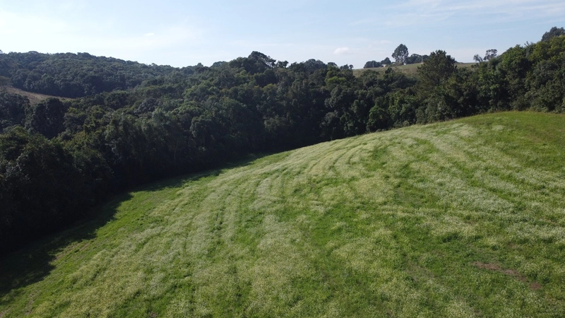 TERRENO PARA FORMAÇÃO DE CHÁCARA PRÓXIMO AO CENTRO DE CAMPO LARGO: 17ª foto da galeria de imagens do imóvel