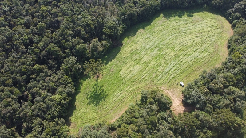 TERRENO PARA FORMAÇÃO DE CHÁCARA PRÓXIMO AO CENTRO DE CAMPO LARGO: 2ª foto da galeria de imagens do imóvel
