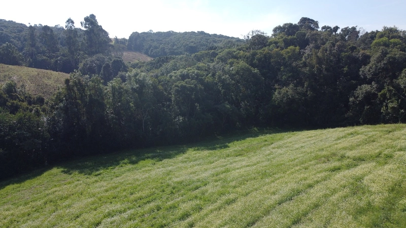 TERRENO PARA FORMAÇÃO DE CHÁCARA PRÓXIMO AO CENTRO DE CAMPO LARGO: 10ª foto da galeria de imagens do imóvel