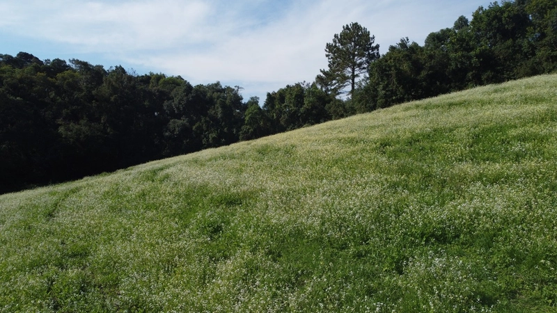 TERRENO PARA FORMAÇÃO DE CHÁCARA PRÓXIMO AO CENTRO DE CAMPO LARGO: 21ª foto da galeria de imagens do imóvel