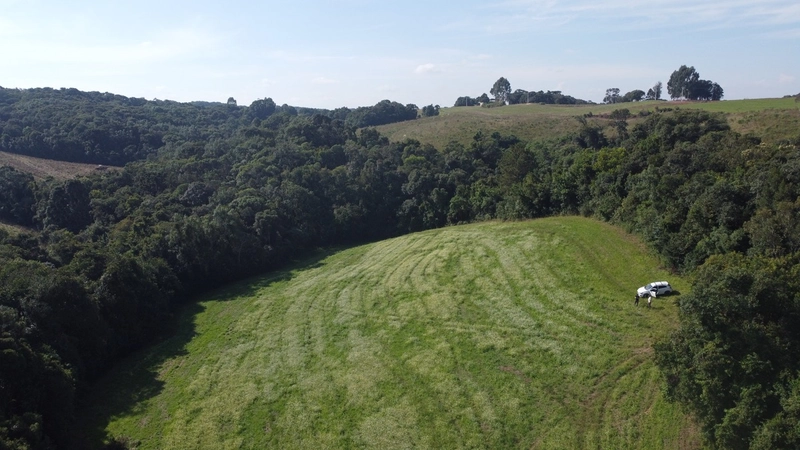 TERRENO PARA FORMAÇÃO DE CHÁCARA PRÓXIMO AO CENTRO DE CAMPO LARGO: 15ª foto da galeria de imagens do imóvel