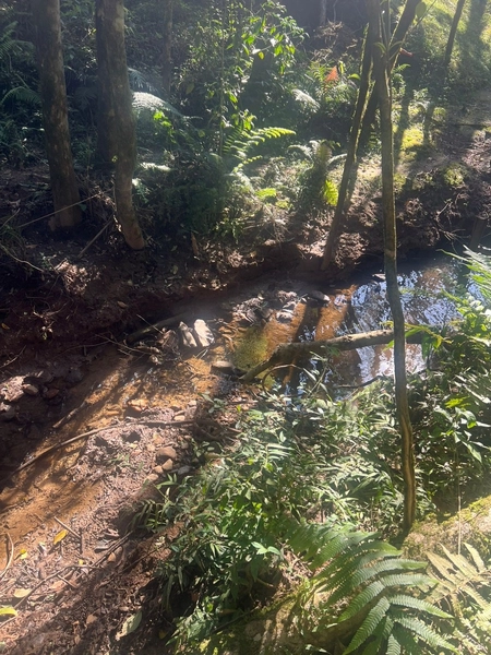 TERRENO PARA FORMAÇÃO DE CHÁCARA PRÓXIMO AO CENTRO DE CAMPO LARGO: 9ª foto da galeria de imagens do imóvel