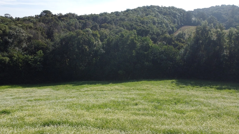 TERRENO PARA FORMAÇÃO DE CHÁCARA PRÓXIMO AO CENTRO DE CAMPO LARGO: 14ª foto da galeria de imagens do imóvel