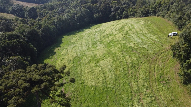TERRENO PARA FORMAÇÃO DE CHÁCARA PRÓXIMO AO CENTRO DE CAMPO LARGO: 16ª foto da galeria de imagens do imóvel