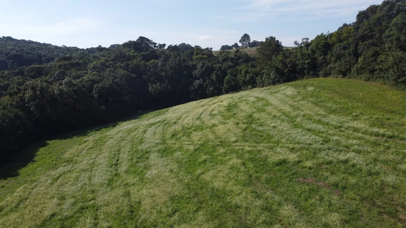 TERRENO PARA FORMAÇÃO DE CHÁCARA PRÓXIMO AO CENTRO DE CAMPO LARGO: 18ª foto da galeria de imagens do imóvel