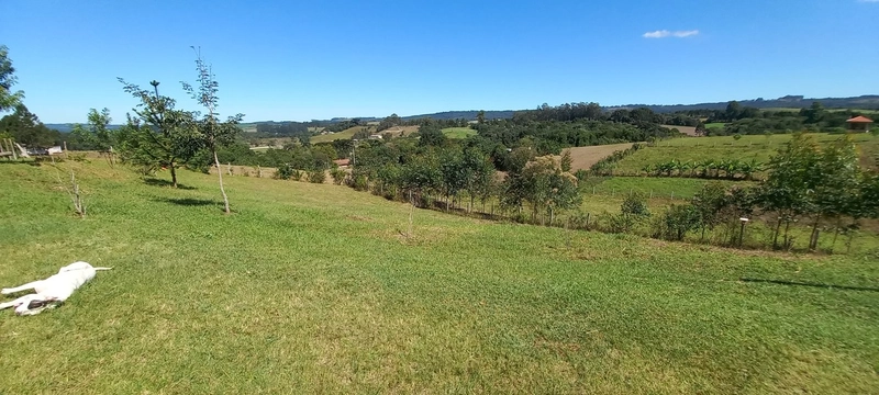 Chácara Formada com Casa e uma Incrível Vista Panorâmica!: 12ª foto da galeria de imagens do imóvel