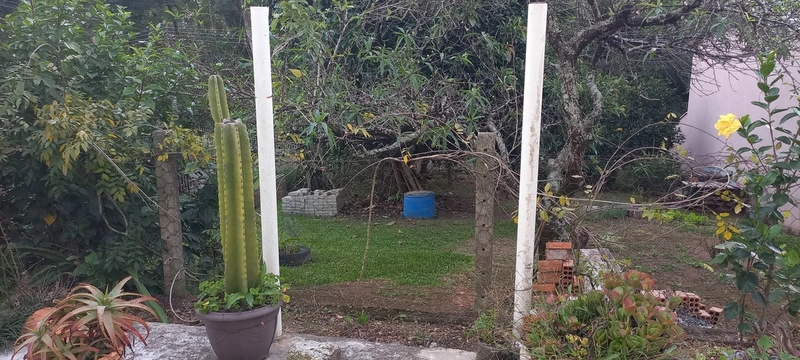 Casa com Amplo Terreno de esquina e Potencial Comercial Campo Largo!: 20ª foto da galeria de imagens do imóvel