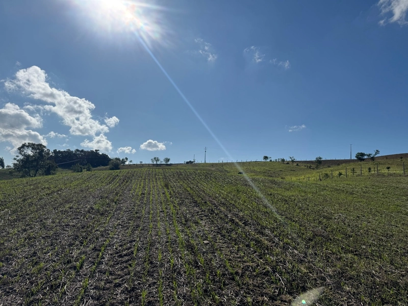 LINDO TERRENO PARA FORMAÇÃO DE CHÁCARA PRÓXIMO AO CENTRO: 16ª foto da galeria de imagens do imóvel