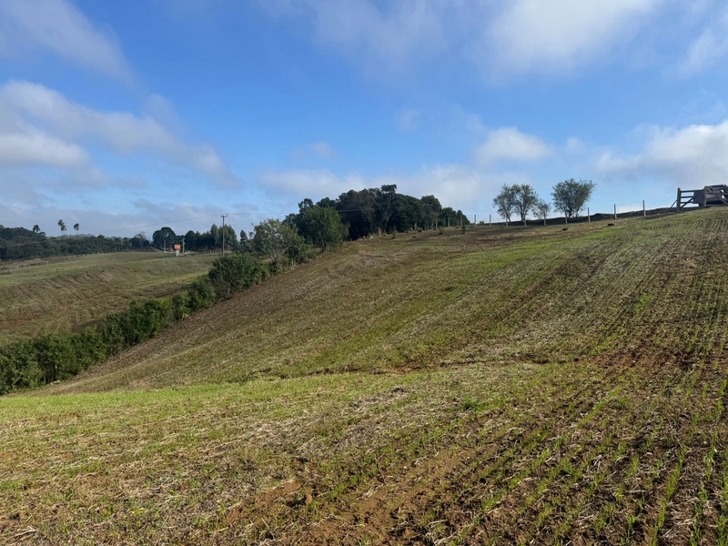 LINDO TERRENO PARA FORMAÇÃO DE CHÁCARA PRÓXIMO AO CENTRO: 21ª foto da galeria de imagens do imóvel