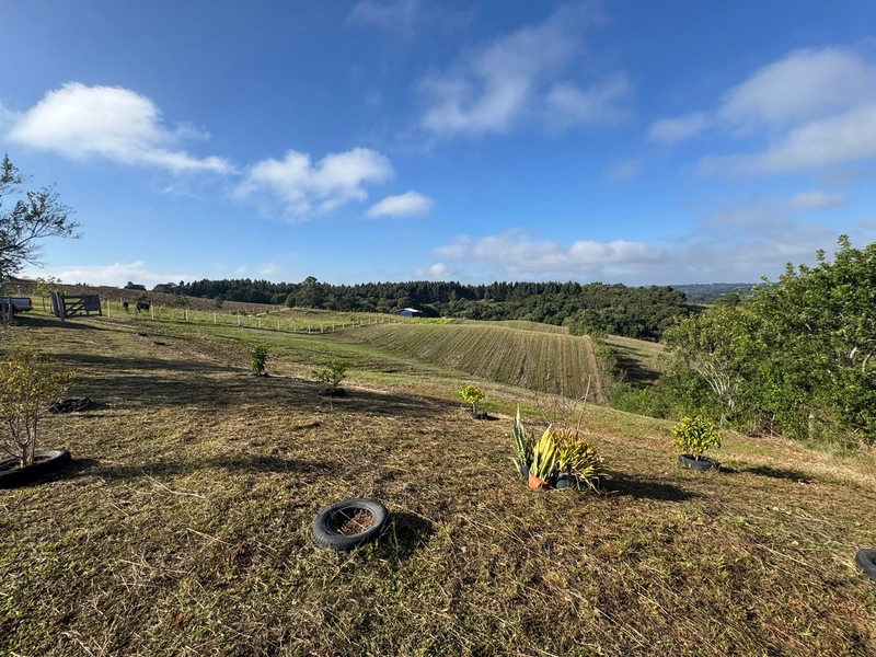 LINDO TERRENO PARA FORMAÇÃO DE CHÁCARA PRÓXIMO AO CENTRO: 12ª foto da galeria de imagens do imóvel
