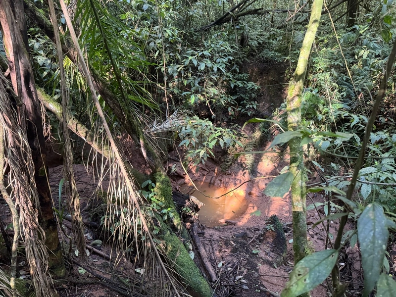 LINDO TERRENO PARA FORMAÇÃO DE CHÁCARA PRÓXIMO AO CENTRO: 24ª foto da galeria de imagens do imóvel