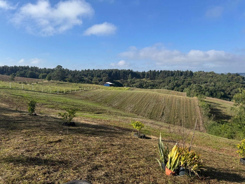 LINDO TERRENO PARA FORMAÇÃO DE CHÁCARA PRÓXIMO AO CENTRO: 10ª foto da galeria de imagens do imóvel