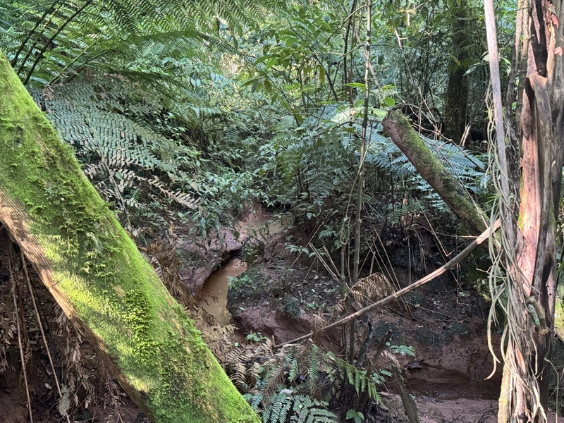 LINDO TERRENO PARA FORMAÇÃO DE CHÁCARA PRÓXIMO AO CENTRO: 25ª foto da galeria de imagens do imóvel
