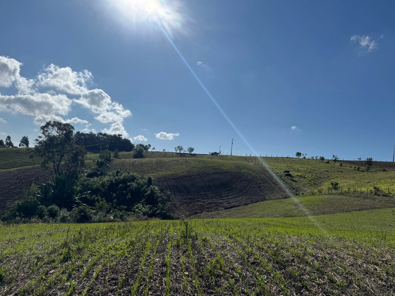 LINDO TERRENO PARA FORMAÇÃO DE CHÁCARA PRÓXIMO AO CENTRO: 13ª foto da galeria de imagens do imóvel