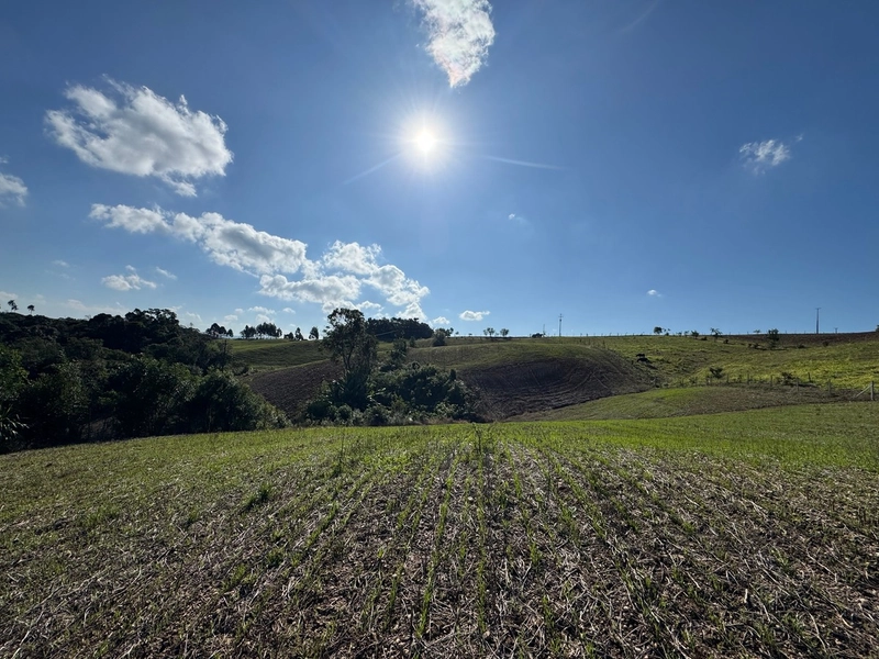 LINDO TERRENO PARA FORMAÇÃO DE CHÁCARA PRÓXIMO AO CENTRO: 8ª foto da galeria de imagens do imóvel