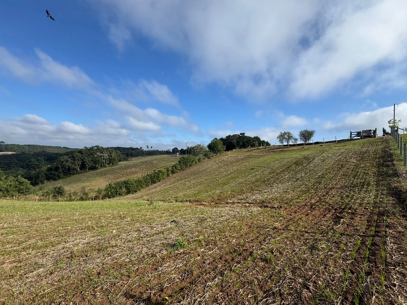 LINDO TERRENO PARA FORMAÇÃO DE CHÁCARA PRÓXIMO AO CENTRO: 9ª foto da galeria de imagens do imóvel