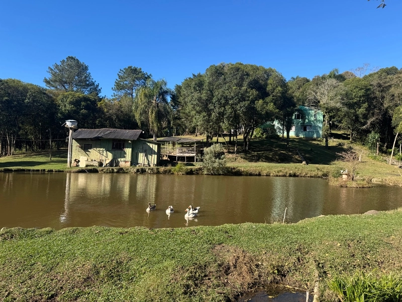 Chácara completa em Balsa Nova com linda vista e muita privacidade!: 1ª foto da galeria de imagens do imóvel