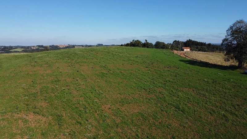 Chácara com vista de cinema a 10 min do centro de Campo Largo!: 9ª foto da galeria de imagens do imóvel