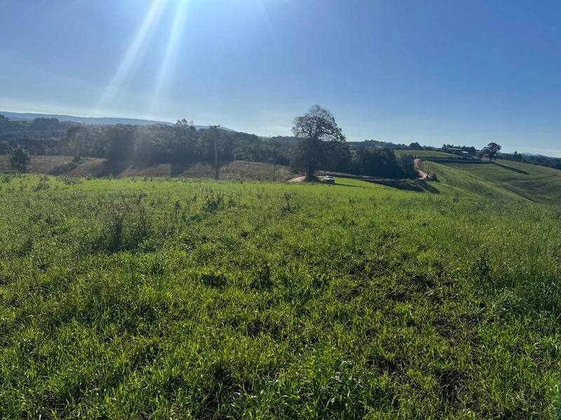 Chácara com vista de cinema a 10 min do centro de Campo Largo!: 2ª foto da galeria de imagens do imóvel