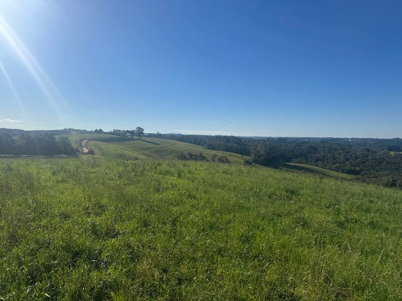Chácara com vista de cinema a 10 min do centro de Campo Largo!: 13ª foto da galeria de imagens do imóvel