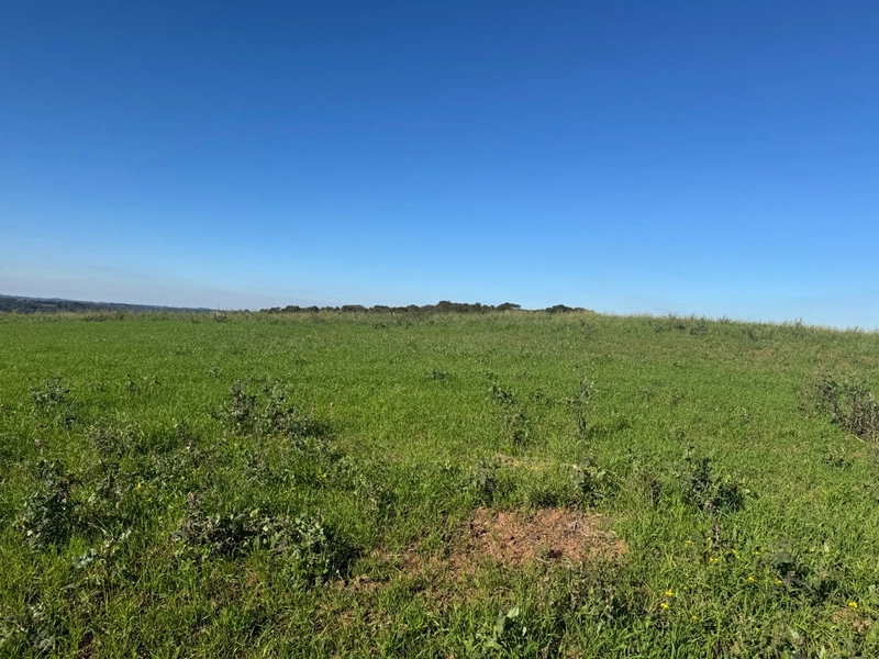 Chácara com vista de cinema a 10 min do centro de Campo Largo!: 21ª foto da galeria de imagens do imóvel