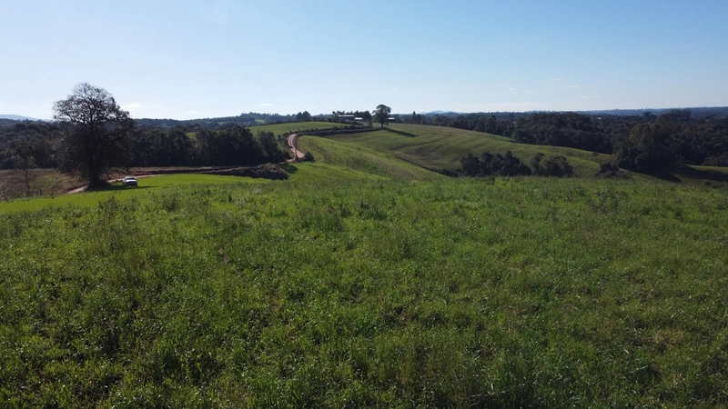 Chácara com vista de cinema a 10 min do centro de Campo Largo!: 19ª foto da galeria de imagens do imóvel