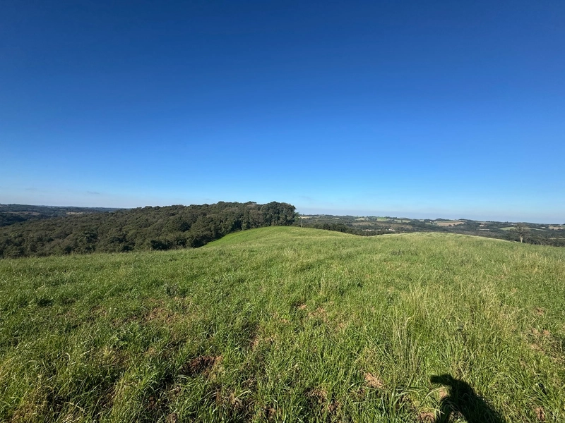 Chácara com vista de cinema a 10 min do centro de Campo Largo!: 1ª foto da galeria de imagens do imóvel