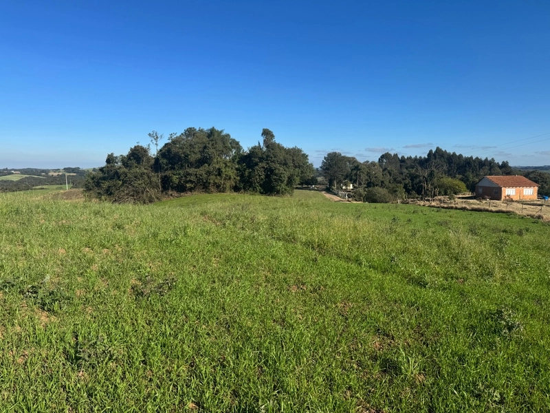 Terreno com vista de cinema a 10 min do centro de Campo Largo!: 18ª foto da galeria de imagens do imóvel