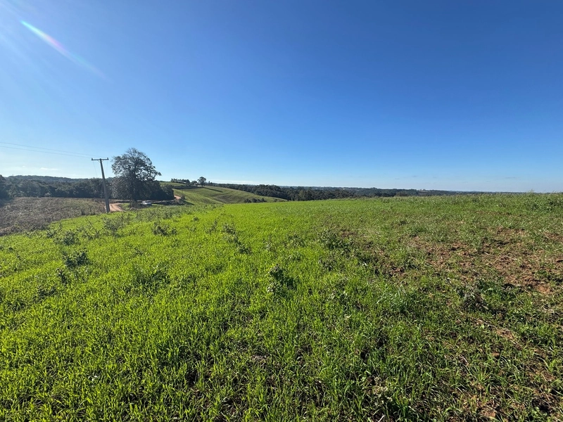 Terreno com vista de cinema a 10 min do centro de Campo Largo!: 20ª foto da galeria de imagens do imóvel