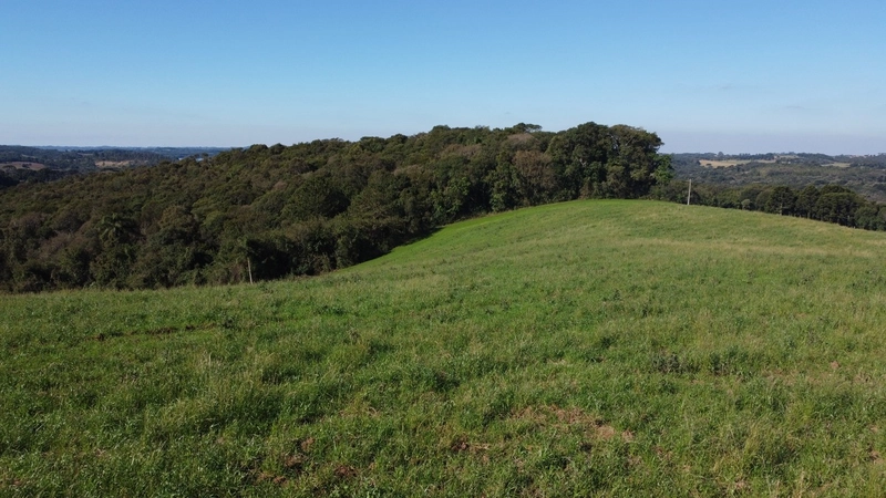 Chácara com vista de cinema a 10 min do centro de Campo Largo!: 19ª foto da galeria de imagens do imóvel