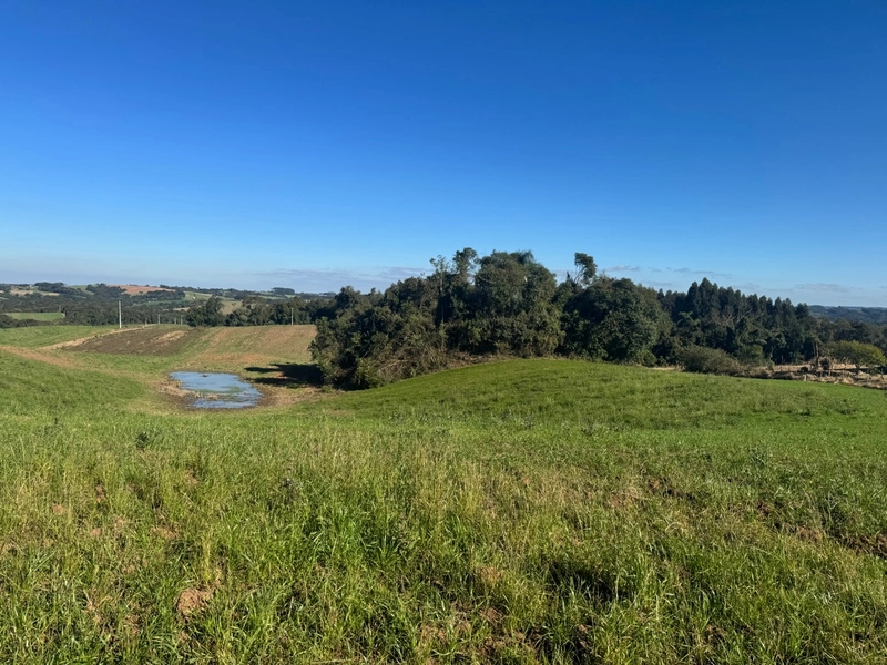 Chácara com vista de cinema a 10 min do centro de Campo Largo!: 13ª foto da galeria de imagens do imóvel