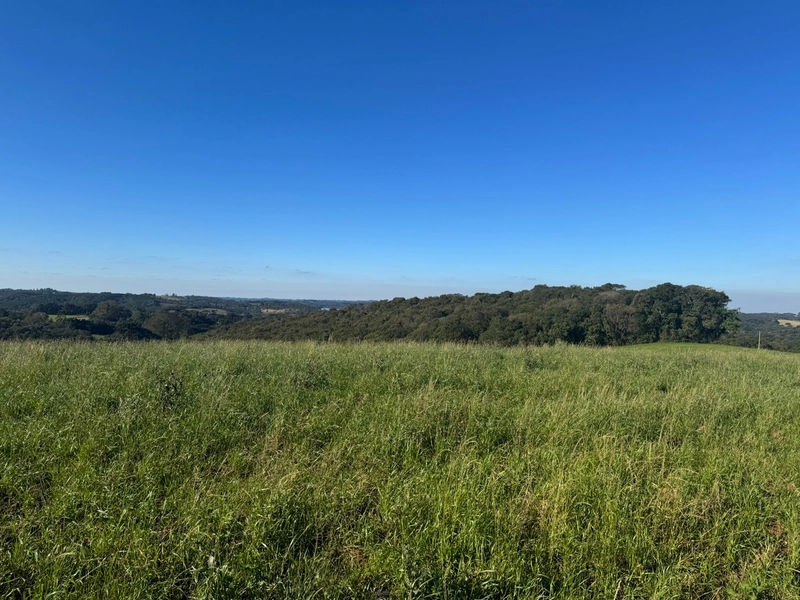 Chácara com vista de cinema a 10 min do centro de Campo Largo!: 15ª foto da galeria de imagens do imóvel