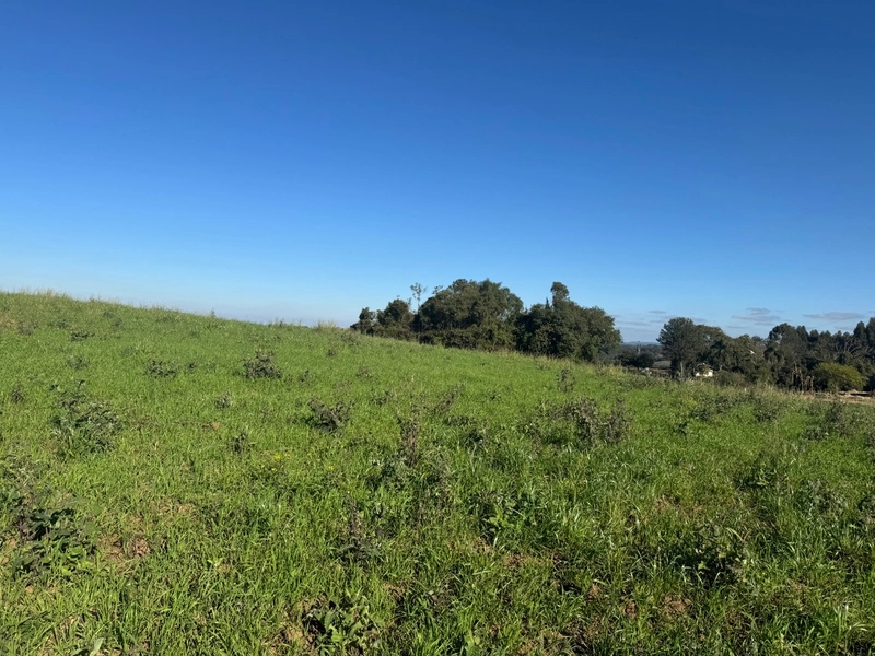 Chácara com vista de cinema a 10 min do centro de Campo Largo!: 16ª foto da galeria de imagens do imóvel