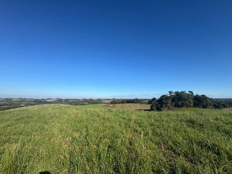 Chácara com vista de cinema a 10 min do centro de Campo Largo!: 9ª foto da galeria de imagens do imóvel