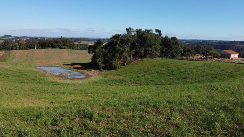 Chácara com vista de cinema a 10 min do centro de Campo Largo!: 12ª foto da galeria de imagens do imóvel