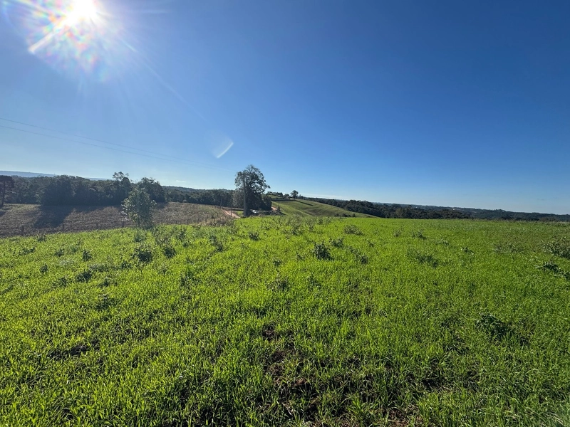 Chácara com vista de cinema a 10 min do centro de Campo Largo!: 3ª foto da galeria de imagens do imóvel