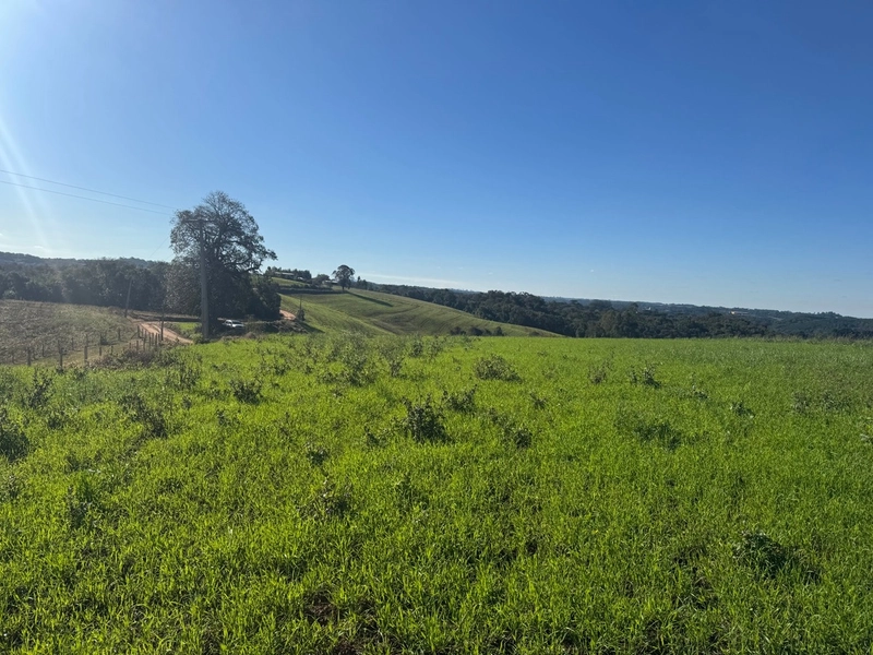 Chácara com vista de cinema a 10 min do centro de Campo Largo!: 20ª foto da galeria de imagens do imóvel