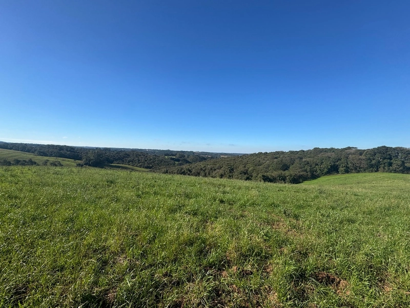 Chácara com vista de cinema a 10 min do centro de Campo Largo!: 8ª foto da galeria de imagens do imóvel
