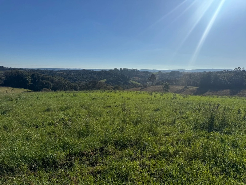 Terreno com vista dos sonhos a 10 min do centro de Campo Largo!: 15ª foto da galeria de imagens do imóvel