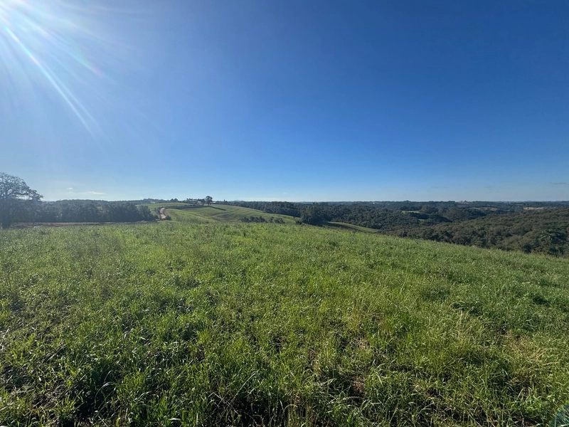 Terreno com vista dos sonhos a 10 min do centro de Campo Largo!: 2ª foto da galeria de imagens do imóvel