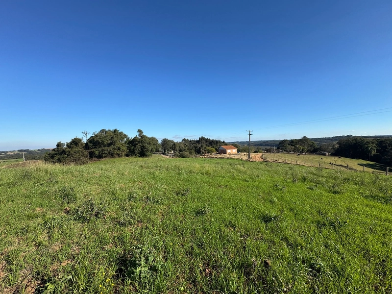 Terreno com vista dos sonhos a 10 min do centro de Campo Largo!: 25ª foto da galeria de imagens do imóvel