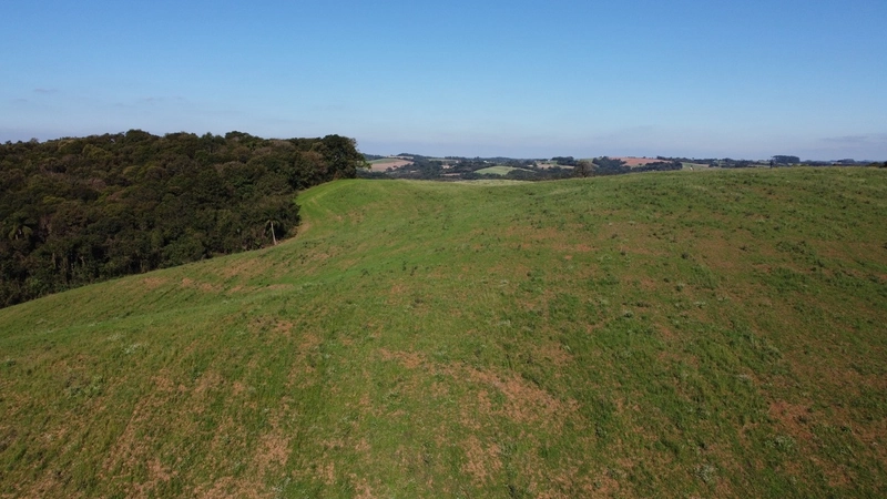 Terreno com vista dos sonhos a 10 min do centro de Campo Largo!: 10ª foto da galeria de imagens do imóvel
