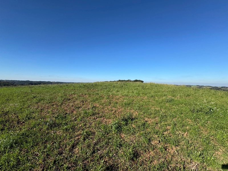 Chácara com vista dos sonhos a 10 min do centro de Campo Largo!: 15ª foto da galeria de imagens do imóvel