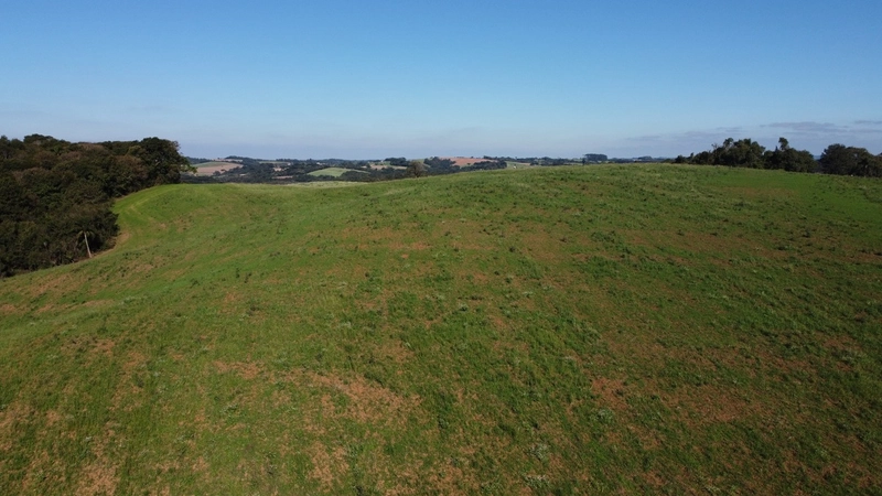 Chácara com vista dos sonhos a 10 min do centro de Campo Largo!: 16ª foto da galeria de imagens do imóvel