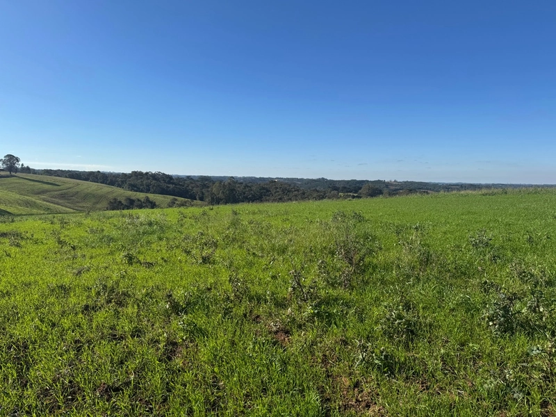 Chácara com vista dos sonhos a 10 min do centro de Campo Largo!: 1ª foto da galeria de imagens do imóvel