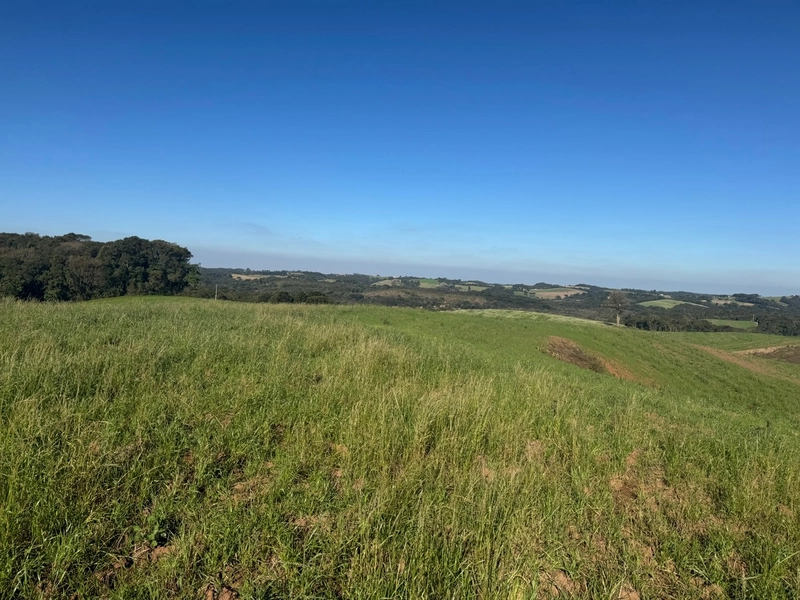 Chácara com vista dos sonhos a 10 min do centro de Campo Largo!: 2ª foto da galeria de imagens do imóvel