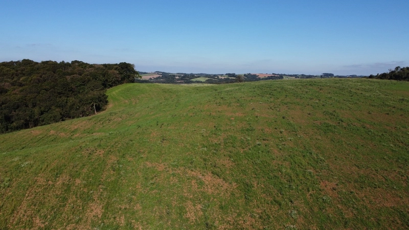 Chácara com vista dos sonhos a 10 min do centro de Campo Largo!: 17ª foto da galeria de imagens do imóvel